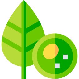 Botani